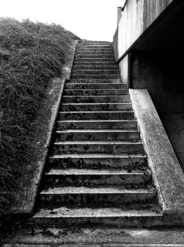 next-step